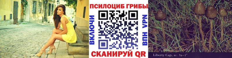 магазин продажи   Анива  Псилоцибиновые грибы Cubensis 